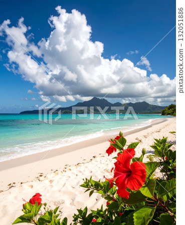 [AI 生成的圖像] 熱帶積雨雲、海洋和芙蓉花 132051886