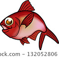 可愛的金目鯛插圖向量 132052806
