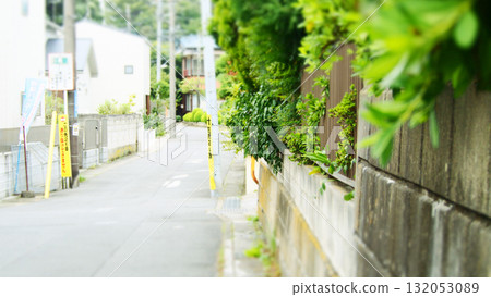 Everyday scenery in the neighborhood: Walking along the walking path Everyday scenery in the neighborhood: Walking along the walking path 132053089