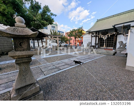晴天時,神社境內有一隻黑貓在散步 晴天時,神社境內有一隻黑貓在散步 132053196