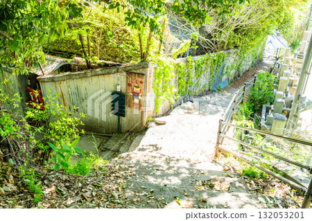 Onomichi Cat Narrow Path, Hiroshima Prefecture 132053201