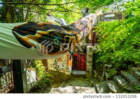 Onomichi Cat Narrow Path, Hiroshima Prefecture 132053206