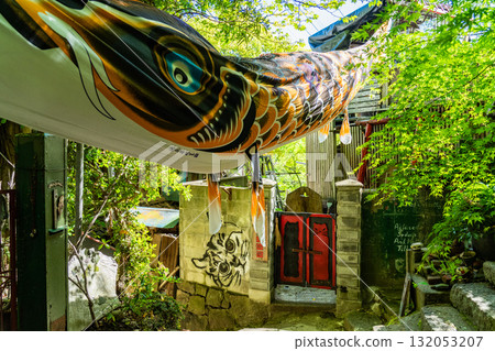 Onomichi Cat Narrow Path, Hiroshima Prefecture 132053207