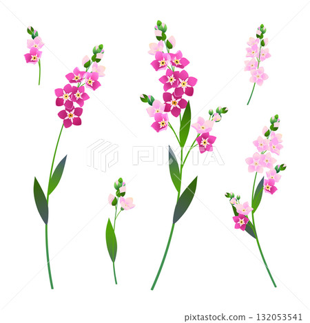 Vintage set of vector floral elements. Branches of pink forget-me-nots. Spring flowers with pink petals. Clipart for wedding designs, Mother's Day, and Valentine's Day cards. 132053541