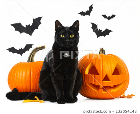 Halloween material 132054148