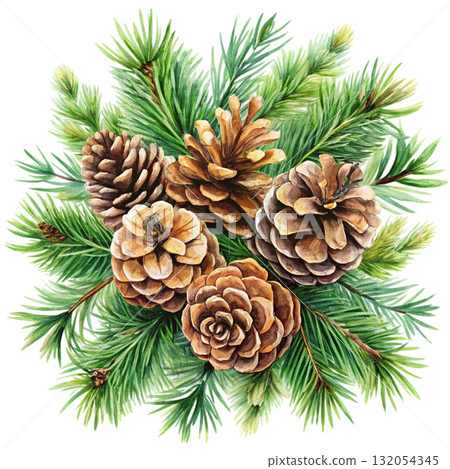 watercolor minimal botanical composition with pinecones 132054345
