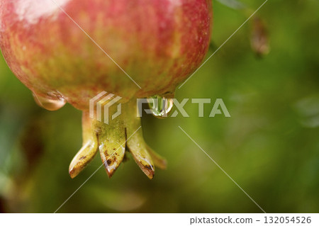 anti aging cream tube on wooden surface with white towel background anti aging cream tube on wooden surface with white towel background 132054526