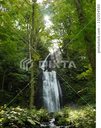 Kumoi Falls surrounded by fresh greenery 132054560