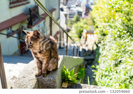 <廣島縣>丘陵小鎮尾道 132054660