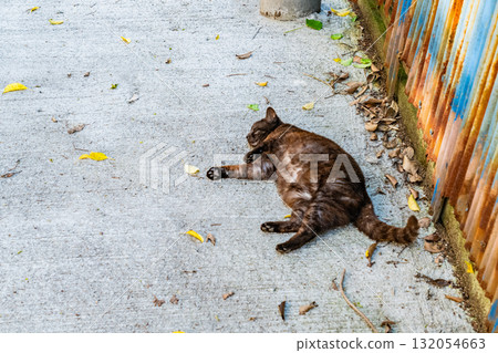 <廣島縣>丘陵小鎮尾道 132054663