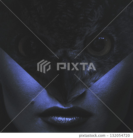 Abstract collage illustration of woman and owl portrait during night Abstract collage illustration of woman and owl portrait during night 132054720