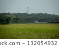 Scenery with rice field 132054932