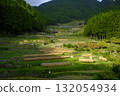 Scenery with rice terraces 132054934
