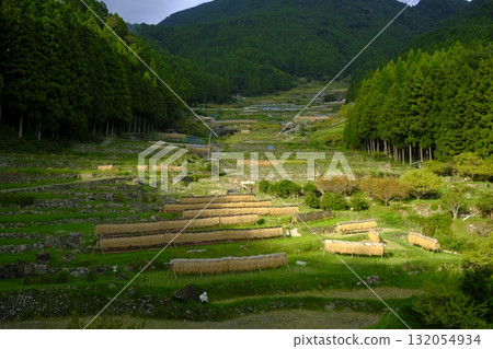 與梯田的風景 與梯田的風景 132054934