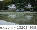 Buildings reflected in rice paddies 132054938