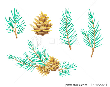 Watercolor fir branches and pine cones 132055831