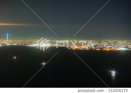 從飛機窗口看到的 TDR 和東京晴空塔 從飛機窗口看到的 TDR 和東京晴空塔 132056175