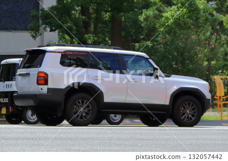 Domestic SUV image 132057442