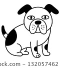 A bulldog sitting facing this way 132057462
