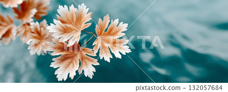 Autumn leaves floating on calm blue water in tranquil natural setting. Banner format 132057684