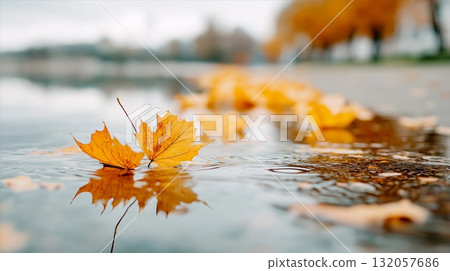 Autumn leaves floating on water with reflections in tranquil urban scene 132057686