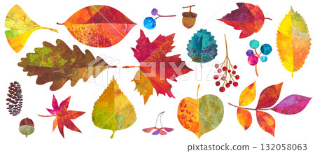 A set of natural illustrations of autumn leaves in the forest. Autumn leaves and nuts. Painting texture illustrations A set of natural illustrations of autumn leaves in the forest. Autumn leaves and nuts. Painting texture illustrations 132058063