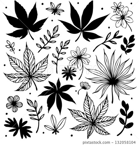 Collection of black and white floral and leaf designs for various creative projects Collection of black and white floral and leaf designs for various creative projects 132058104