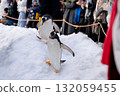 Penguins walking on the snow 132059455