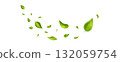 Green flying leaves frame. Wave foliage ornament. Leaf falling on long white banner. Vegan, eco, organic design. Cosmetic pattern border. Fresh tea background. Beauty product. Vector illustration 132059754