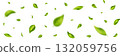 Green flying leaves frame. Leaf falling on long white banner. Wave foliage ornament. Vegan, eco, organic design. Cosmetic pattern border. Fresh tea background. Beauty product. Vector illustration 132059756
