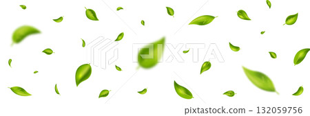 Green flying leaves frame. Leaf falling on long white banner. Wave foliage ornament. Vegan, eco, organic design. Cosmetic pattern border. Fresh tea background. Beauty product. Vector illustration 132059756