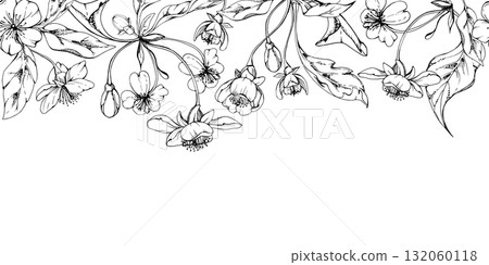 Cherry sakura apple white flower and bud with plant leaves on stems, hand drawn vector ink, wildflower botanical illustration. Seamless isolated banner, for scrapbooking, wedding card, florist shop 132060118