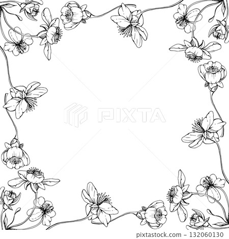 Cherry sakura white flower and bud on stems, hand drawn vector ink, apple blossom early spring wildflower botanical illustration. Isolated border frame, for wedding, florist shop, scrapbooking Cherry sakura white flower and bud on stems, hand drawn vector ink, apple blossom early spring wildflower botanical illustration. Isolated border frame, for wedding, florist shop, scrapbooking 132060130