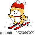 戴著紅色毛帽滑雪的柴犬 132060309