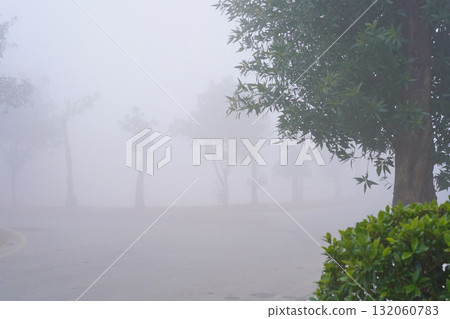 Morning fog. View of the road and trees growing along it. Outskirts of a city in South Asia. No people or traffic. Horizontal image. Copy space is on the side top or bottom. Real scene, natural colors Morning fog. View of the road and trees growing along it. Outskirts of a city in South Asia. No people or traffic. Horizontal image. Copy space is on the side top or bottom. Real scene, natural colors 132060783