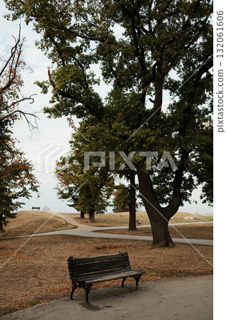 Wooden bench under tall trees in Kalemegdan Park with autumn scenery on a quiet morning in Belgrade Wooden bench under tall trees in Kalemegdan Park with autumn scenery on a quiet morning in Belgrade 132061606