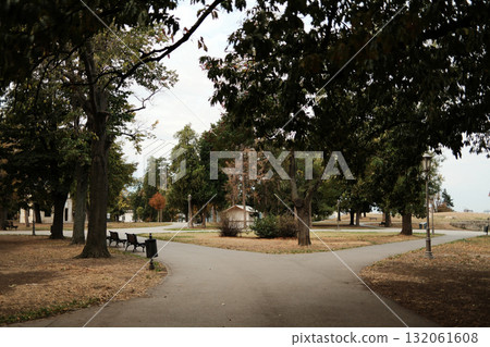 Walking paths cross under tall trees in Kalemegdan Park on a peaceful autumn morning in Belgrade Walking paths cross under tall trees in Kalemegdan Park on a peaceful autumn morning in Belgrade 132061608