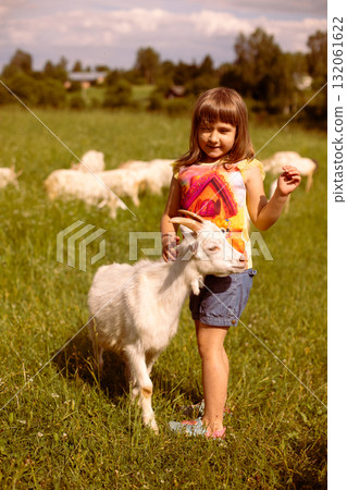 Girl cradling a baby goat in her arms, surrounded by a lush green field, basking in the warmth of a sunny day Girl cradling a baby goat in her arms, surrounded by a lush green field, basking in the warmth of a sunny day 132061622