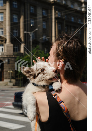 Close up of red merle Border Collie puppy hugging woman outdoors in Belgrade city center. Travel with pet concept Close up of red merle Border Collie puppy hugging woman outdoors in Belgrade city center. Travel with pet concept 132061644