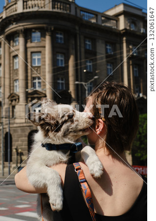 Close up of red merle Border Collie puppy hugging woman outdoors in Belgrade city center. Travel with pet concept Close up of red merle Border Collie puppy hugging woman outdoors in Belgrade city center. Travel with pet concept 132061647