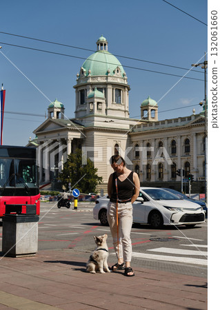 Woman with red merle Border Collie puppy sitting near Serbian Parliament in Belgrade with traffic around 132061660