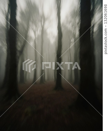 Dark trees rise in a foggy forest, creating an eerie atmosphere. The visibility is low as twilight settles, making the surroundings appear haunting and mysterious Generative AI 132061698