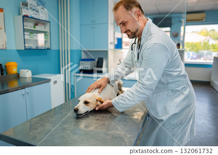 Veterinarian cares for a dog in a bright clinic setting Veterinarian cares for a dog in a bright clinic setting 132061732
