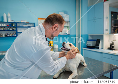 Veterinarian caring for a happy dog in a bright clinic environment Veterinarian caring for a happy dog in a bright clinic environment 132061749