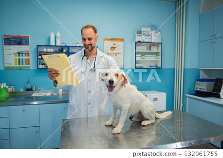 Vet examines cheerful dog in bright clinic setting Vet examines cheerful dog in bright clinic setting 132061755