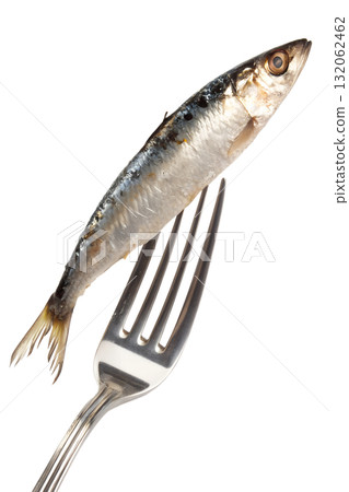 Whole sardine served on a polished silver fork against transparent background, isolated for seafood and culinary themes 132062462
