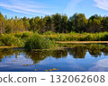 Serene Lake View with Lush Greenery and Clear Sky 132062608