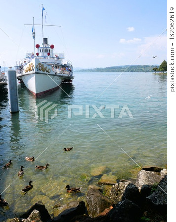 Pleasure boats and waterfowl on Lake Zurich, Rapperswil, Switzerland Pleasure boats and waterfowl on Lake Zurich, Rapperswil, Switzerland 132062619