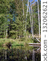 Tranquil Reflections: Trees Mirrored in River Waters 132062621