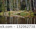 Tranquil Reflections: Trees Mirrored in River Waters 132062738